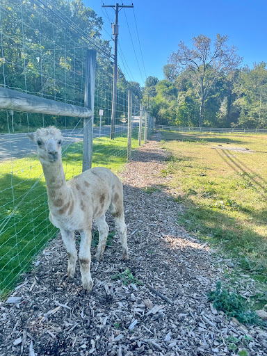 Farm «Sun High Orchards», reviews and photos, 19 Canfield Ave, Randolph, NJ 07869, USA