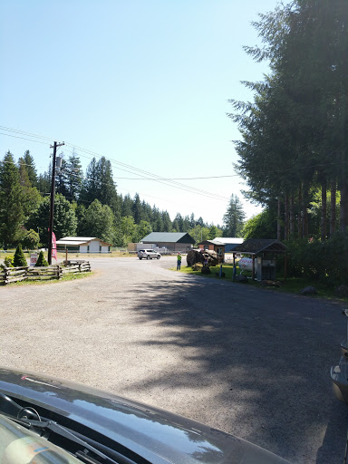 Grocery Store «Cougar Store», reviews and photos, 16842 Lewis River Rd, Cougar, WA 98616, USA