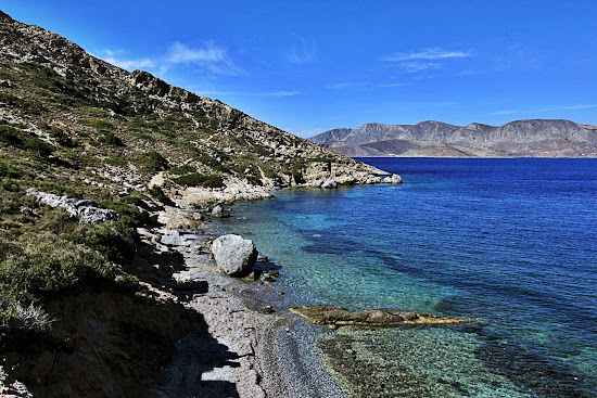 Paralia pothia