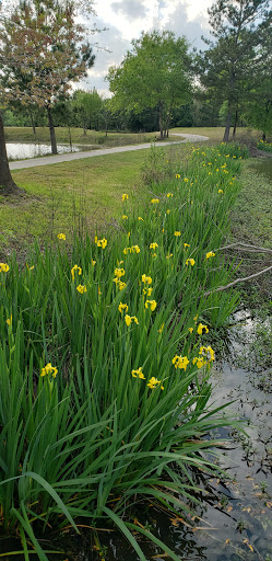 Country Club «West Fork Golf & Country Club», reviews and photos, 1 Golf Rdg, Conroe, TX 77304, USA