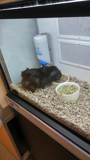 Pet Supply Store «Petco Animal Supplies», reviews and photos, 7215 170th Ave NE #115, Redmond, WA 98052, USA