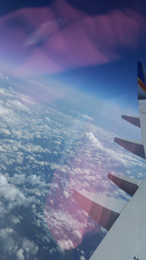 Golf Club «Manatee County Golf Course», reviews and photos, 6415 53rd Ave W, Bradenton, FL 34210, USA