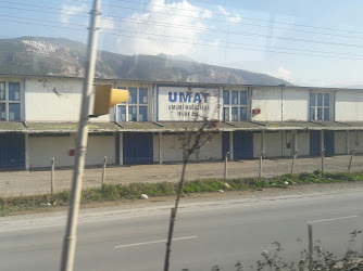 Umat Türk