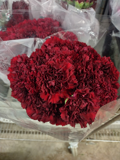 Florist «Botanica Wholesale Florist», reviews and photos, 3208 International Pl, Irving, TX 75062, USA