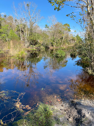Nature Preserve «Scottsmoor Flatwoods Sanctuary East», reviews and photos, 6000 Magoon Ave, Mims, FL 32754, USA