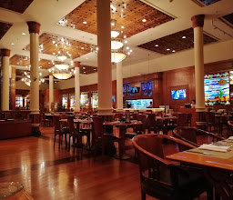 Octopus Ristorante photo