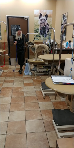 Pet Supply Store «PetSmart», reviews and photos, 4900 Rogers Ave #102a, Fort Smith, AR 72903, USA