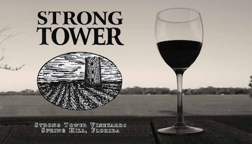 Winery «Strong Tower Vineyard & Winery», reviews and photos, 17810 Forge Dr, Spring Hill, FL 34610, USA