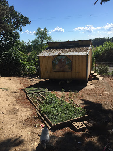 Winery «Ankeny Vineyards & Winery», reviews and photos, 2565 Riverside Dr S, Salem, OR 97306, USA