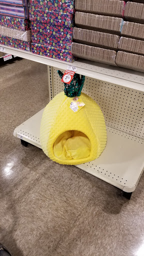 Pet Supply Store «PetSmart», reviews and photos, 13241 Gateway Center Dr, Gainesville, VA 20155, USA