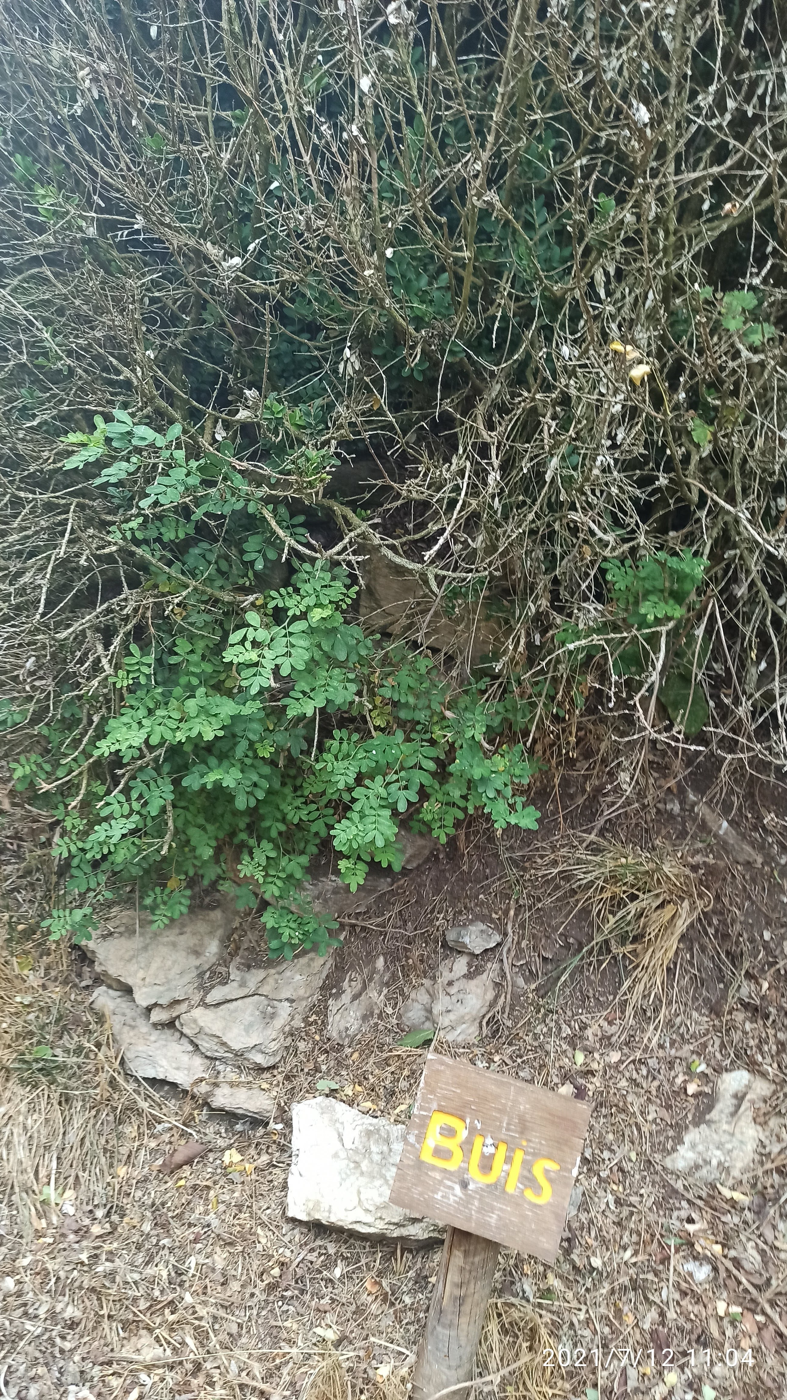 Photo n° 4 de l'avis de Anna.o fait le 14/07/2021 à 19:40