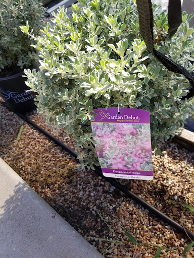 Plant Nursery «Guerin Nursery and Boutique», reviews and photos, 1418 Fall Creek Hwy, Granbury, TX 76049, USA