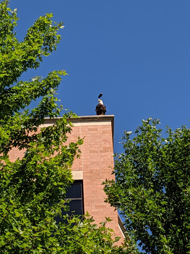 Gym «Life Time Athletic», reviews and photos, 755 Prairie Center Dr, Eden Prairie, MN 55344, USA