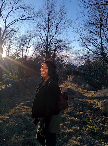 Park «Horatio Harris Park», reviews and photos, 85 Harold St, Boston, MA 02119, USA