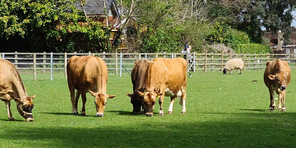 Sheldon Country Park