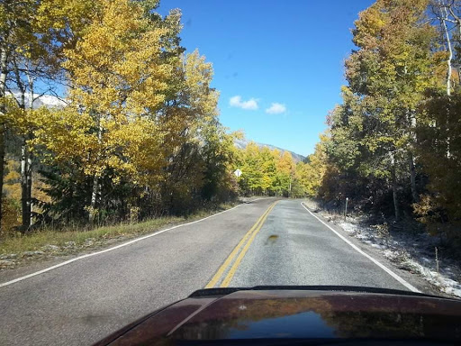 Courier Service «Your Courier Service LLC», reviews and photos, 706 Zion Dr, Colorado Springs, CO 80910, USA