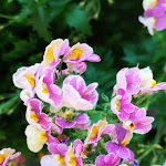 Photo n°6 de l'avis de apichart.a fait le 08/08/2020 à 18:35 sur le  AKZENT Hotel Goldener Ochsen à Wolpertshausen