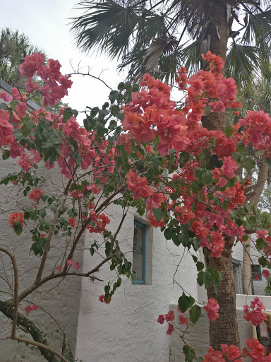 Non-Profit Organization «Art & History Museums - Maitland», reviews and photos, 231 W Packwood Ave, Maitland, FL 32751, USA