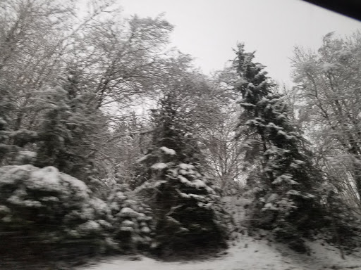 Drug Store «Walgreens», reviews and photos, 750 E 120th Ave, Northglenn, CO 80233, USA