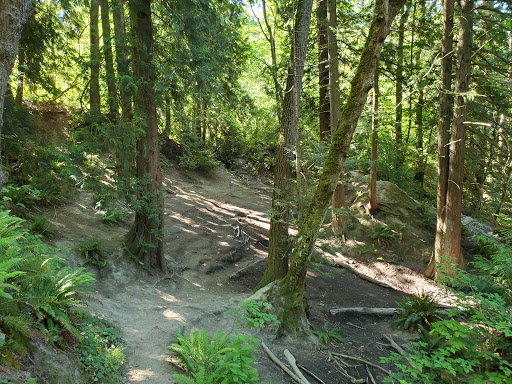 Golf Course «Howling Coyote Disc Golf Course», reviews and photos, 16900 W Riverside Dr, Bothell, WA 98011, USA