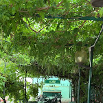 Photo n°6 de l'avis de Matte.a fait le 06/07/2023 à 06:49 sur le  Osteria Grand Hotel à Milan