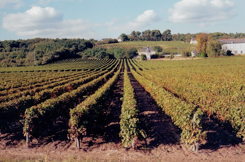 Audebert et Fils à Bourgueil