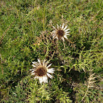 Photo n°3 de l'avis de Rauchbier.r fait le 26/08/2019 à 16:02 sur le  Vitalhotel Zum Löwen à Bad Staffelstein