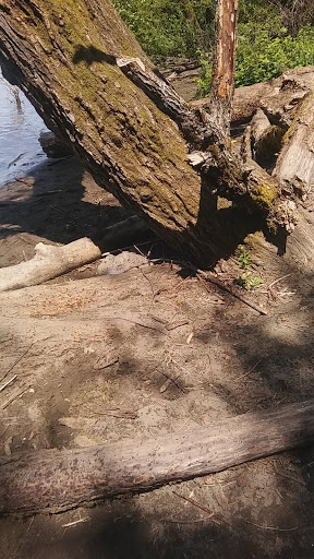 Park «Willamette Park», reviews and photos, SW Macadam Ave, Portland, OR 97219, USA