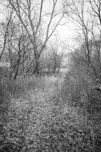 Nature Preserve «Pine Bend Bluffs Scientific and Natural Area (SNA)», reviews and photos, 111th St E, Inver Grove Heights, MN 55077, USA