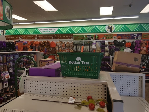 Dollar Store «Dollar Tree», reviews and photos, 9055 Biscayne Blvd, Miami Shores, FL 33138, USA