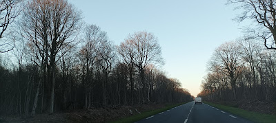 Forêt de Crécy à Mortcerf