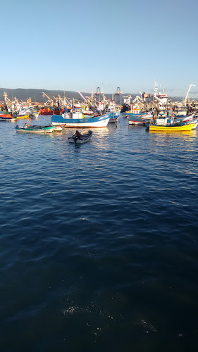 Opiniones de Puerto Pesquero Artesanal Lo Rojas Limitada en Coronel - Centro comercial