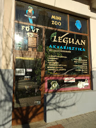 Leguán Akvarisztika és Mini Zoo