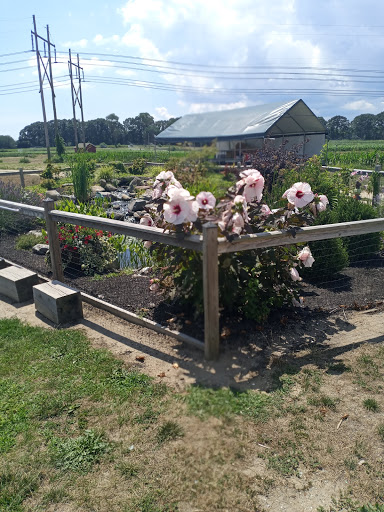 Farm «Four Town Farm», reviews and photos, 90 George St, Seekonk, MA 02771, USA