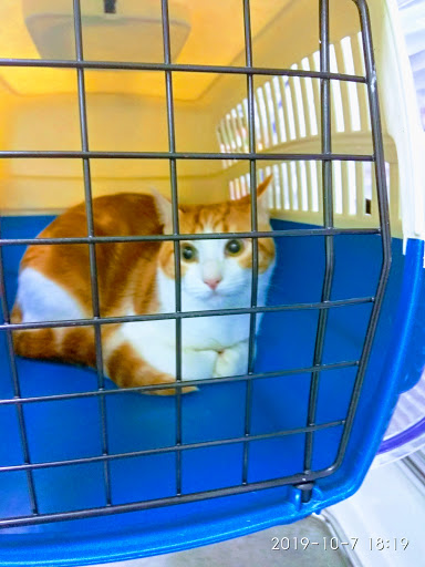 Clínica Veterinaria Complutense en Alcala de Henares