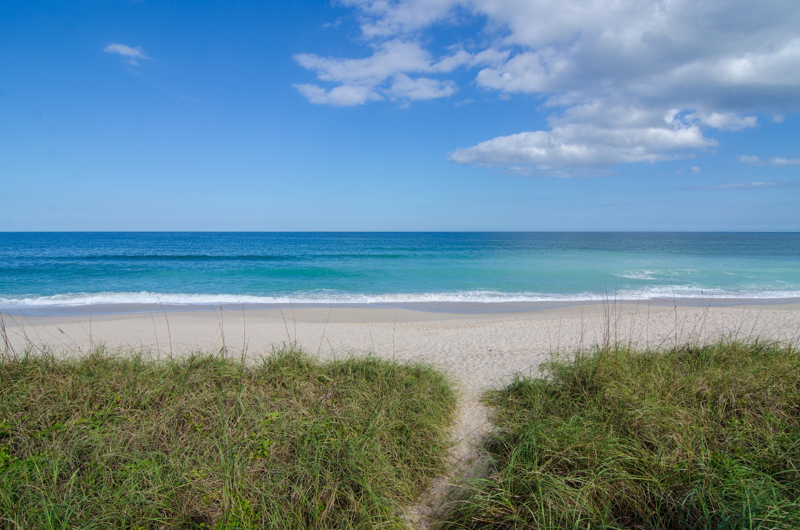 Foto van Indian River Oaks beach voorzieningenruimte