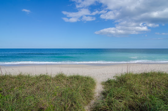 Indian River Oaks beach
