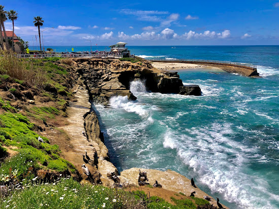 Children's Pool La Jolla