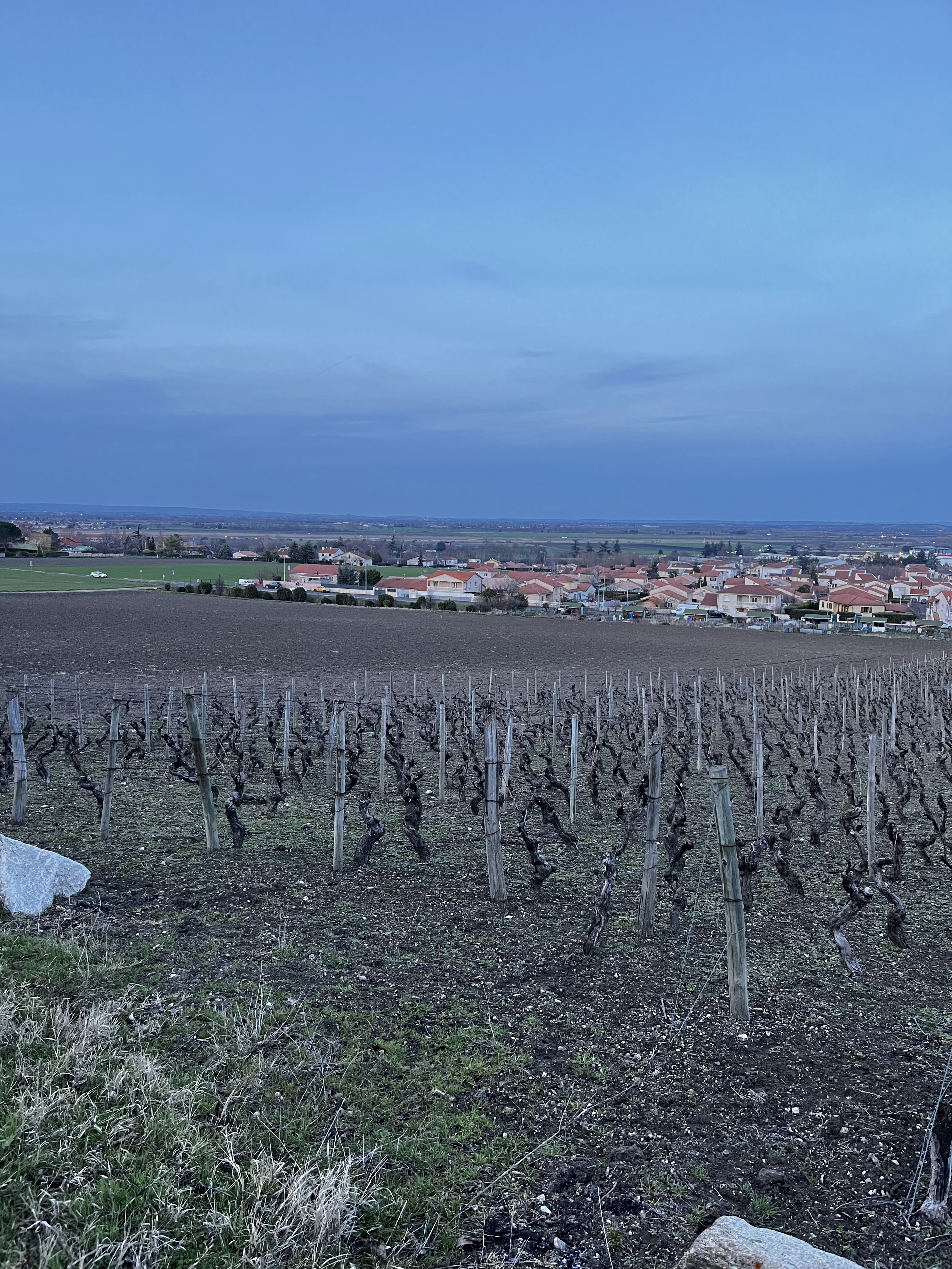 Photo n° 1 de l'avis de Soo.e fait le 18/03/2024 à 08:02
