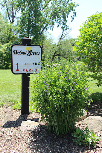 Golf Course «Walnut Greens Golf Course», reviews and photos, 1150 N Walnut Ln, Schaumburg, IL 60194, USA