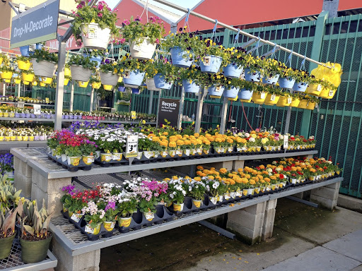 Home Improvement Store «The Home Depot», reviews and photos, 825 E Dundee Rd, Palatine, IL 60074, USA