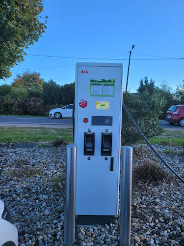 Borne de recharge de véhicules électriques Lidl Station de recharge Mont-de-Marsan