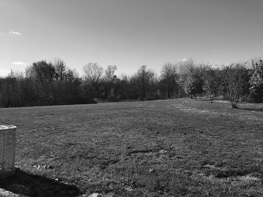 Amphitheater «Wildwood Amphitheater», reviews and photos, 2700 Joslyn Ct, Lake Orion, MI 48360, USA