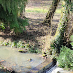 Photo n°3 de l'avis de Daniel.e fait le 05/03/2024 à 13:30 sur le  Schloss Rauischholzhausen à Ebsdorfergrund