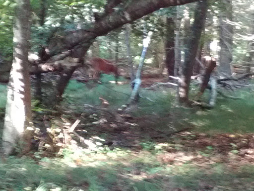 Golf Club «Pocasset Golf Club», reviews and photos, Club House Dr, Pocasset, MA 02559, USA