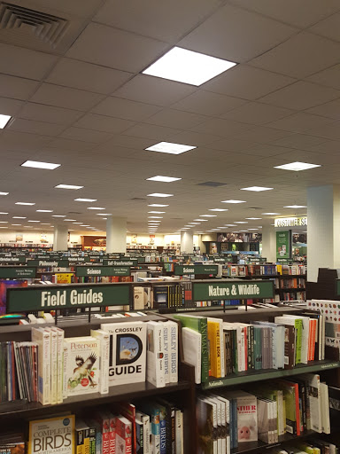Book Store «Barnes & Noble», reviews and photos, 3346 Reed St, Myrtle Beach, SC 29577, USA