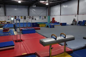 Somersaults Gymnastics Center image
