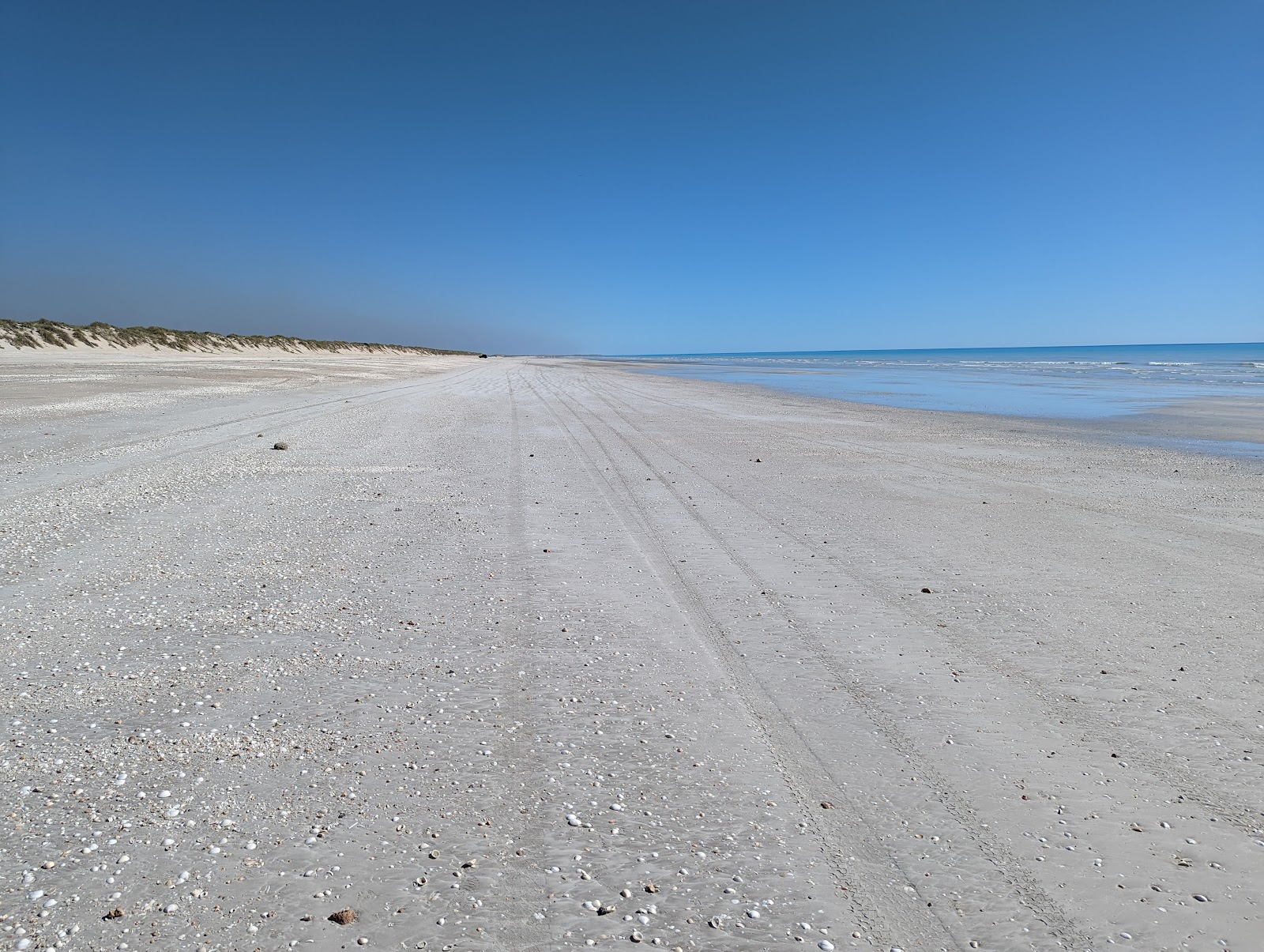 Eighty Mile Beach photo #7