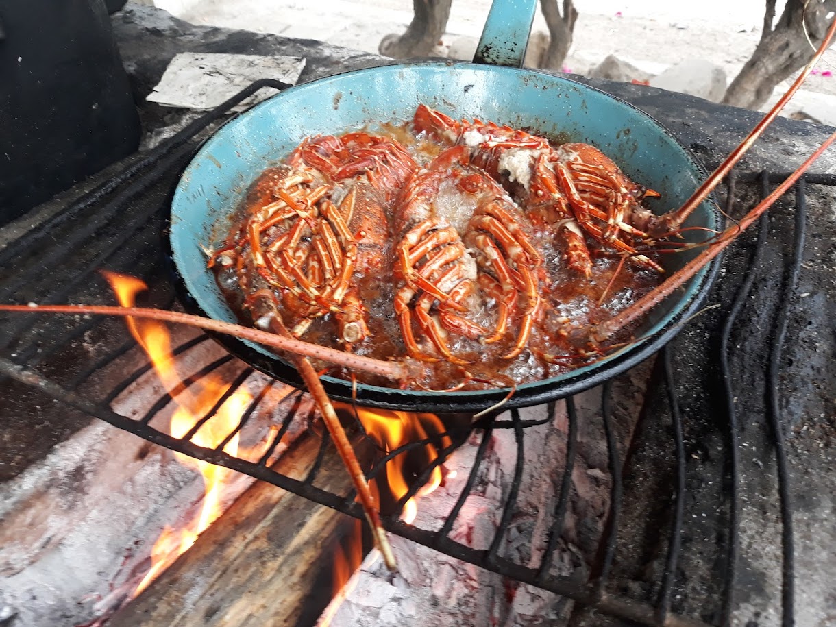 El Huanacaxtle