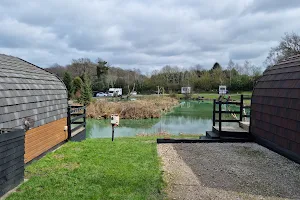 Springwood Fisheries Glamping and Camping image